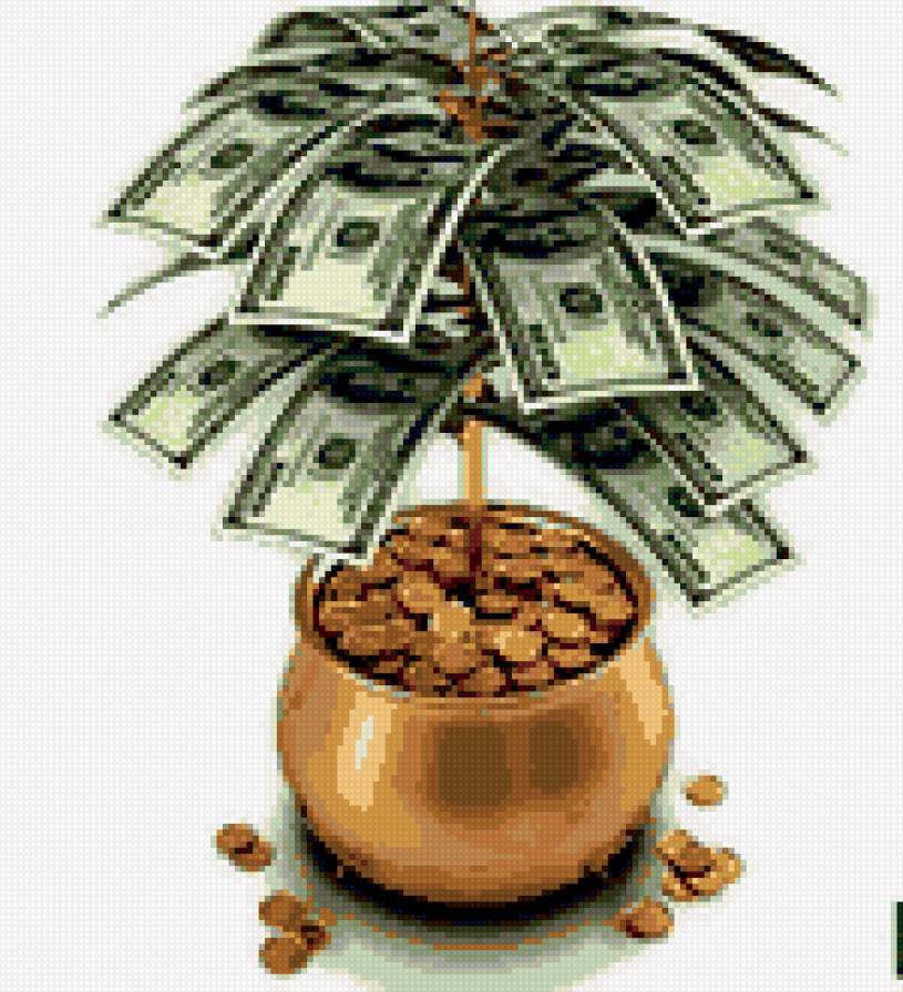 долларовое дерево - денежное дерево, долларовое дерево - предпросмотр