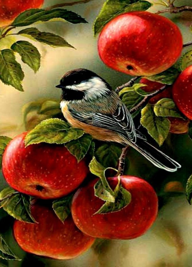 птичка на яблоне - птичка яблоня - оригинал