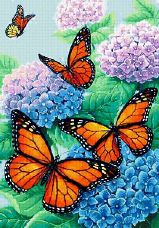 Цветы и бабочки - красота, природа, гортензия, лето, цветы, бабочки, бабочка - предпросмотр