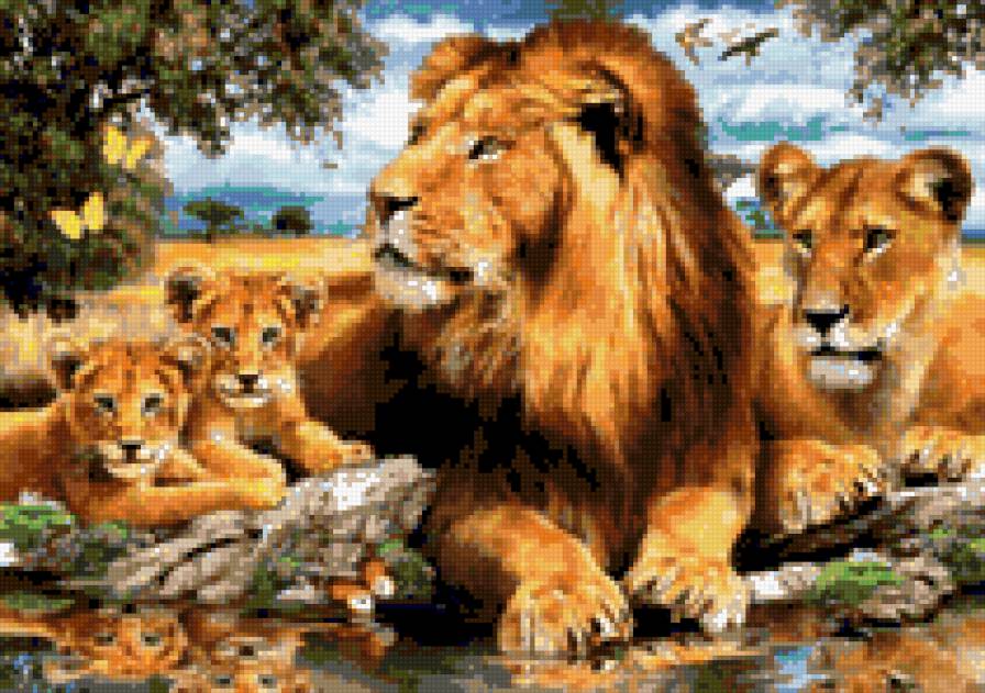 Семейство львов - предпросмотр