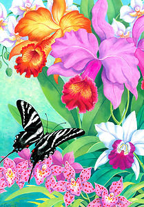 Орхидеи и бабочка - бабочка, орхидеи, тропические цветы, бабочки, цветы, лето - оригинал