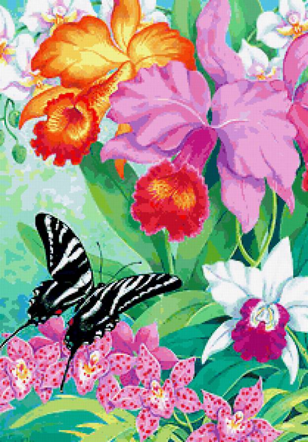 Орхидеи и бабочка - тропические цветы, орхидеи, цветы, бабочки, лето, бабочка - предпросмотр