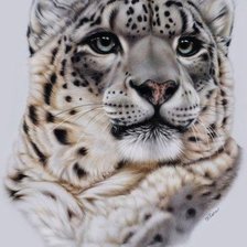 Оригинал схемы вышивки «леопард» (№337035)