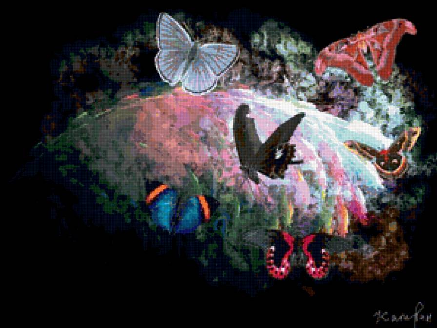 бабочки 2 - планета, бабочки - предпросмотр