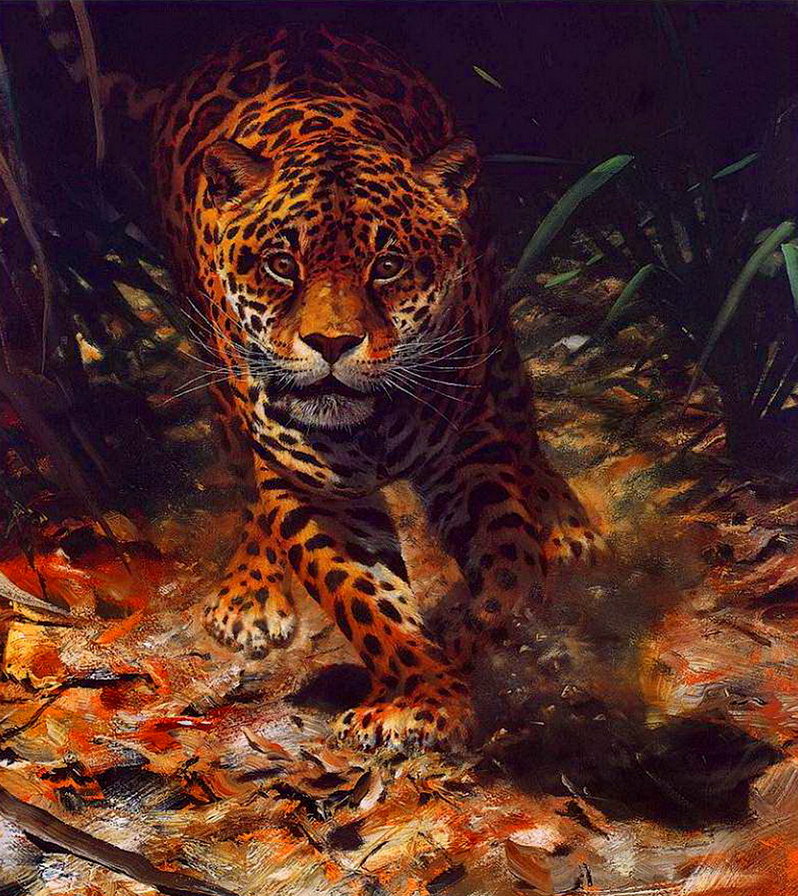 бегущий леопард - хищник, леопард, природа - оригинал