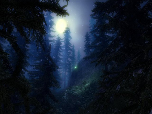 №337388 - луна, ночь, природа, пейзаж, лес - оригинал