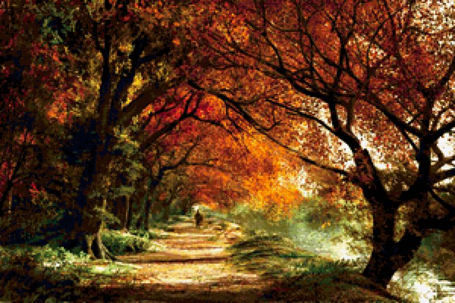 №337391 - природа, осень, лес, пейзаж - предпросмотр