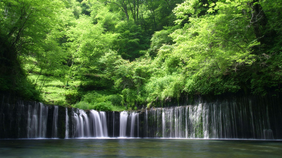 №337421 - водопад, природа, вода, пейзаж, лес - оригинал