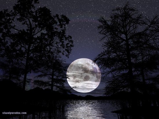 №337426 - пейзаж, луна, ночь, лес, природа - оригинал