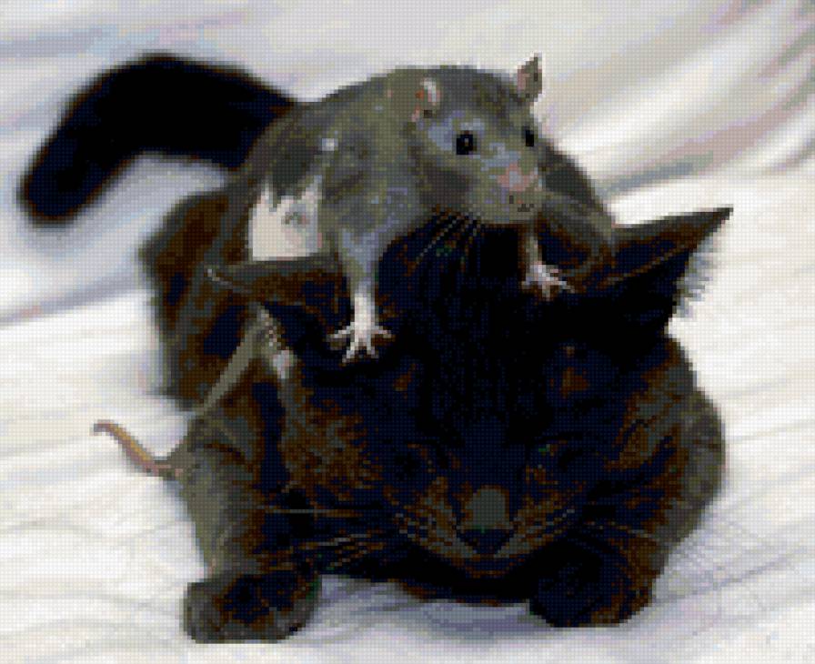 кошки-мышки - кошка, мышка - предпросмотр