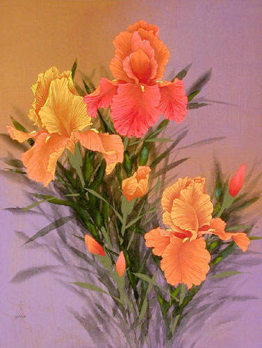 №337595 - цветы, ирисы, букеты - оригинал