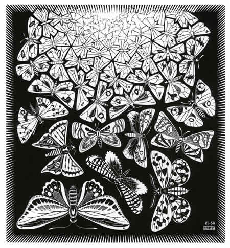 Эшер. Мир бабочек - бабочки, монохром, иллюзии, эшер, карандаш, рисунок - оригинал