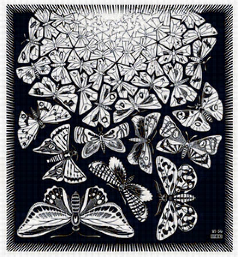 Эшер. Мир бабочек - рисунок, карандаш, эшер, бабочки, монохром, иллюзии - предпросмотр
