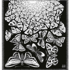 Оригинал схемы вышивки «Эшер. Мир бабочек» (№338637)