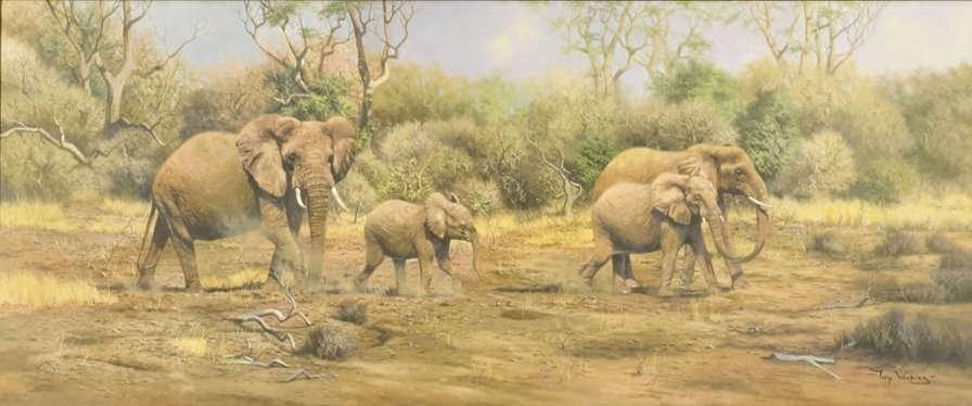 Семья Слонов. - животные, слоны, африка, тони вудинг - оригинал