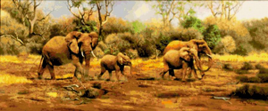 Семья Слонов. - африка, животные, тони вудинг, слоны - предпросмотр