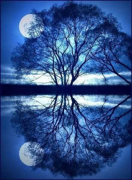Отражение в пруду - луна, вода, ночь - оригинал