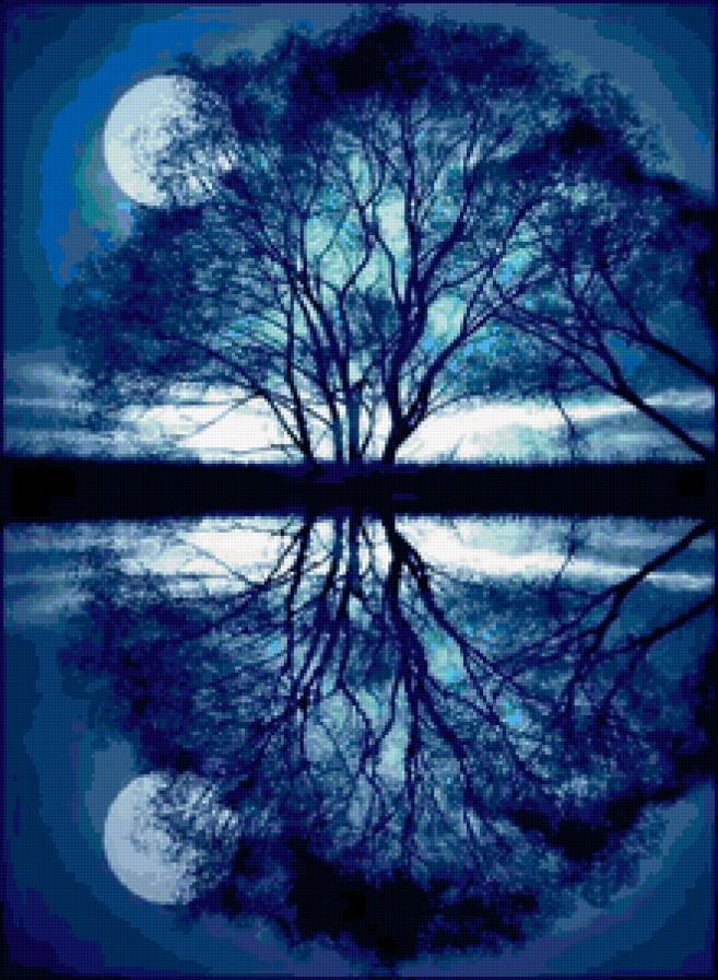 Отражение в пруду - луна, ночь, вода - предпросмотр