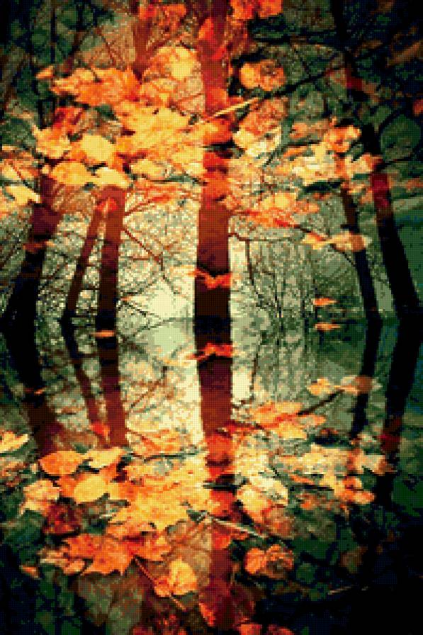 Отражение в воде - листья, осень, деревья - предпросмотр
