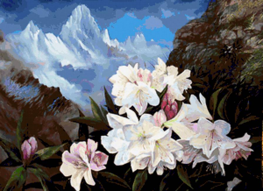 Цветы на фоне гор. - природа, цветы, горы - предпросмотр