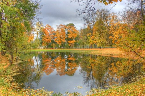 осень - деревья, озеро, отражение, осень, лес - оригинал