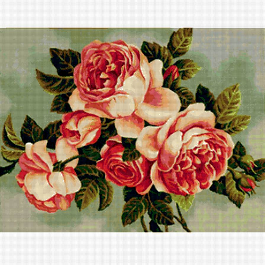 Королева цветов - розы, цветы, красные розы, букеты - предпросмотр