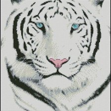 Оригинал схемы вышивки «белый тигр» (№343502)