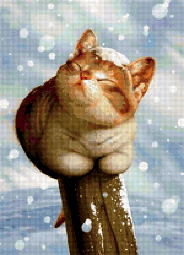 зимний кот - зима, снег, холод, кот - предпросмотр