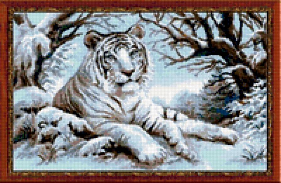 Бенгальский тигр - животные, тигры - предпросмотр
