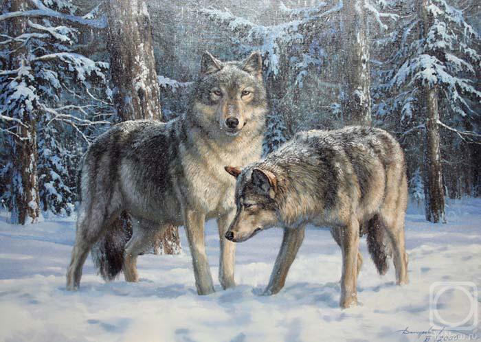 0094 - волки, природа, картина, животные, красота, зима - оригинал