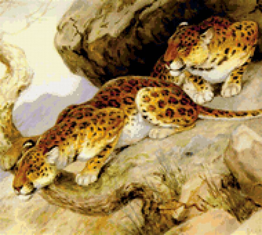 0095 - природа, леопард, кошки, красота, картина, животные - предпросмотр