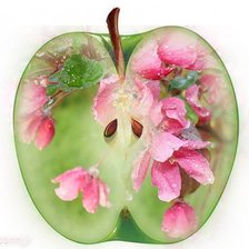 Оригинал схемы вышивки «Цветочное яблоко» (№344360)