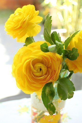 жёлтый - букет, желтый, цветы - оригинал