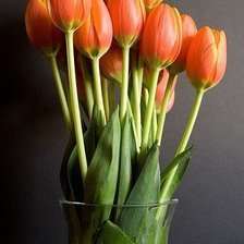 Оригинал схемы вышивки «тюльпаны в вазе» (№344522)