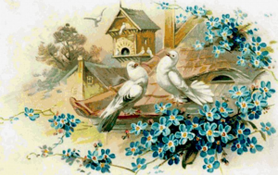 голуби - цветы, фиалки - предпросмотр