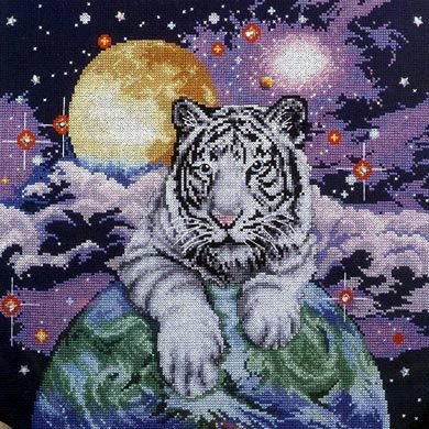 Тигр и вселенная - животные, тигры - оригинал