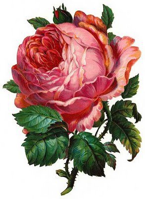 королева цветов - роза, веты - оригинал