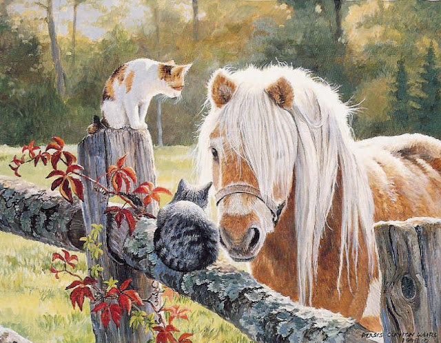 Деревенские сплетницы - лошадь, домашние животные, кошки, деревня - оригинал