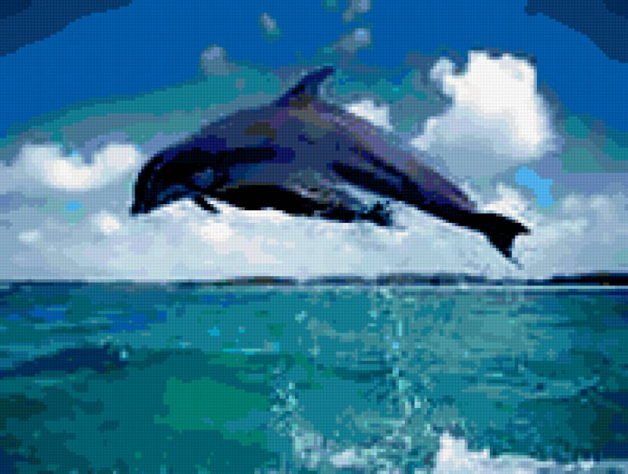 Дельфин - животные - предпросмотр