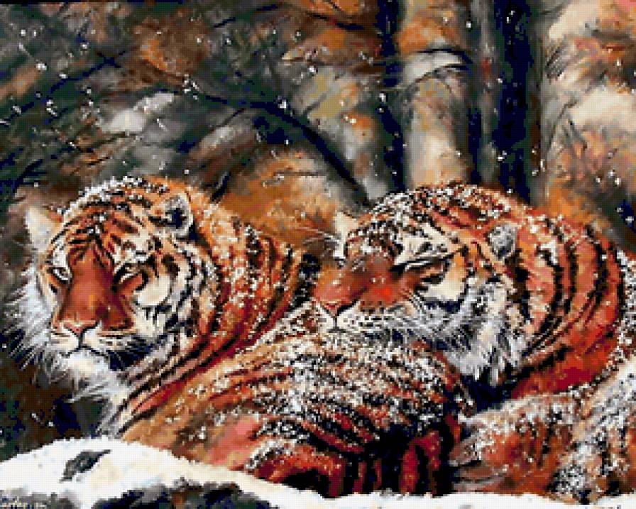 снежные тигры - животные - предпросмотр