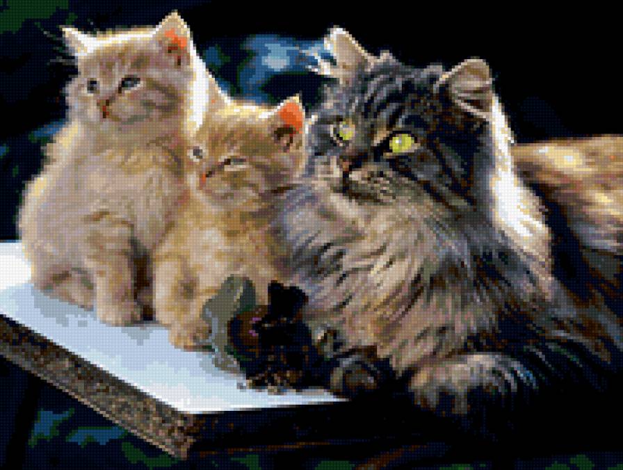 кошачее трио - животные, кошки - предпросмотр