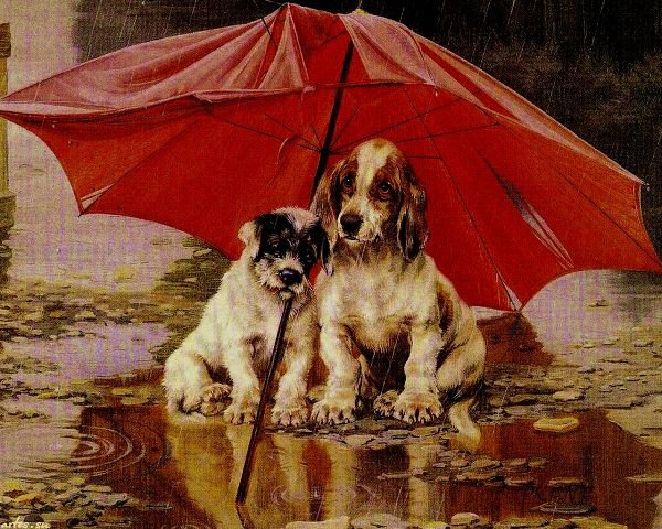 Щенки под зонтом - щенки, зонт, красный, улица, собака, дождь, город - оригинал