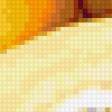Предпросмотр схемы вышивки «Айва на желтой тарелке» (№348206)