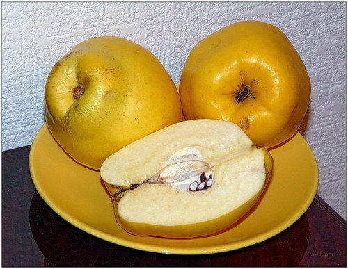 Айва на желтой тарелке - натюрморт, на кухню. фрукты, айва - оригинал