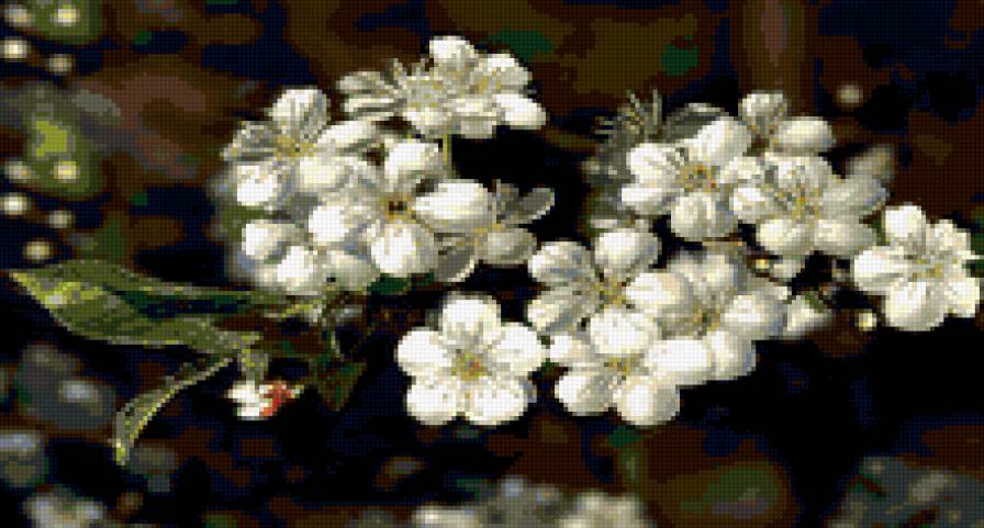 №348824 - весна, цветы - предпросмотр