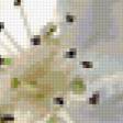 Предпросмотр схемы вышивки «цветы» (№348835)
