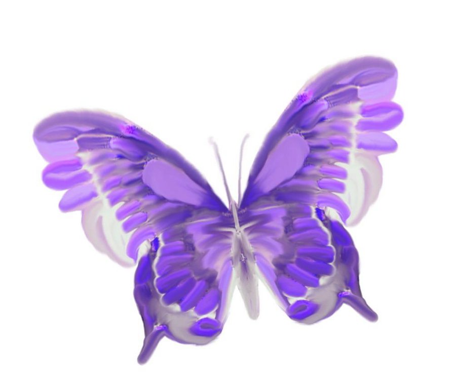 бабочка - подушка, насекомые, бабочка, бабочки - оригинал