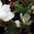 Предпросмотр схемы вышивки «цветы» (№349358)