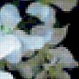 Предпросмотр схемы вышивки «цветы» (№349364)