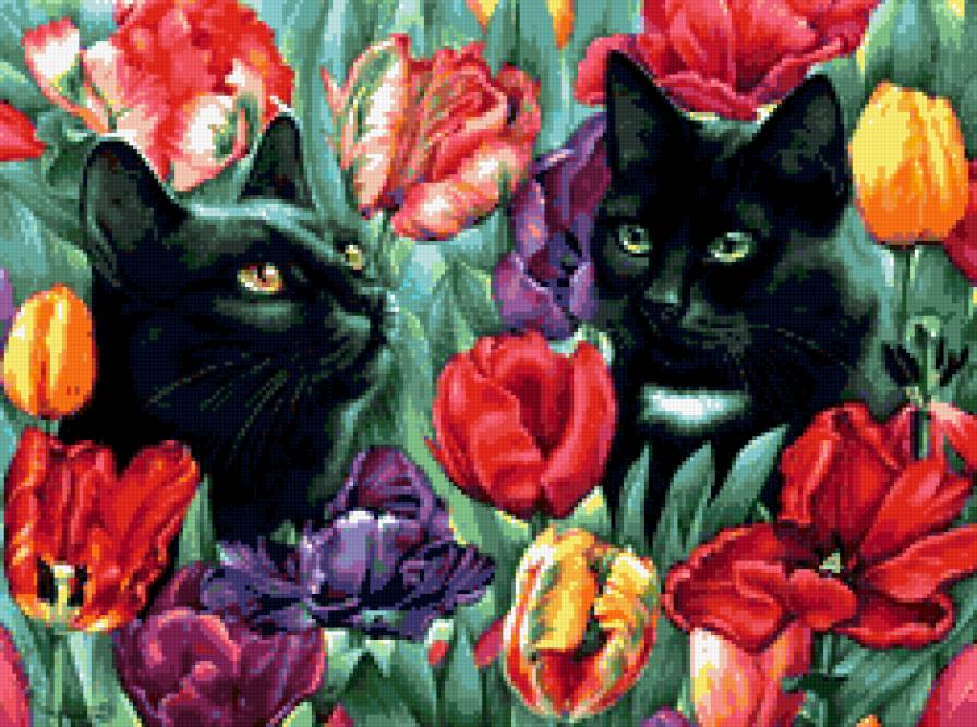черные коты - коты, трава, цветы - предпросмотр